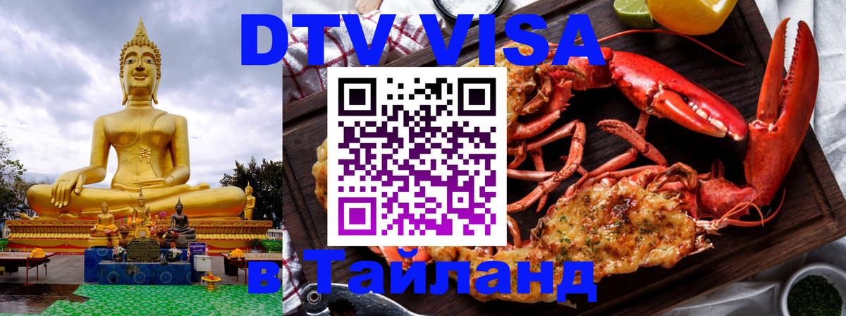 Оформление DTV визы под ключ: стоимость и тарифы, только загранпаспорт - Дзержинск 